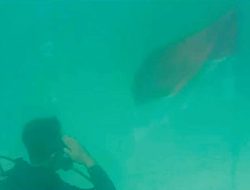 BPBD Sampang Bersama UTM Kibarkan Bendera di Bawah Laut