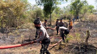 Lahan Hutan Kota Sumenep Terbakar