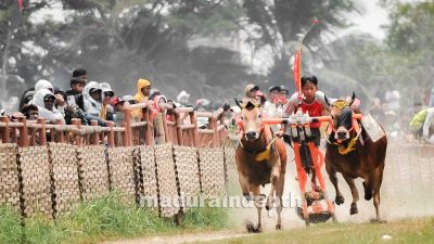 kerapan sapi piala presiden 2022 bangkalan