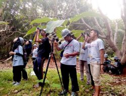 Wisata Khusus, Melihat Langsung Burung Kakatua Jambul Kuning di KEE Pulau Masakambing
