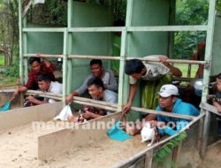 Mengintip Tren Bersama Karapan Kelinci di Lapangan Stell Balap Team