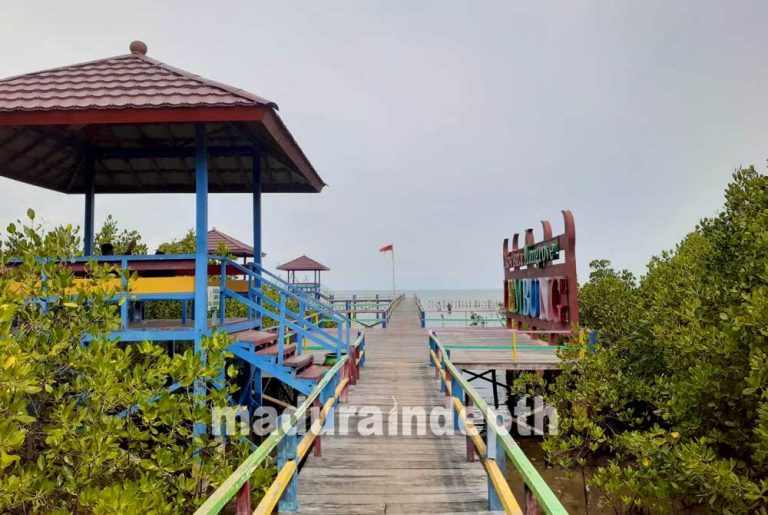 Yuk Berkunjung Ke Ekowisata Hutan Mangrove Lembung