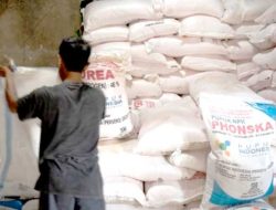 Sumenep Dapat Tambahan 458 Ton Alokasi Pupuk Bersubsidi