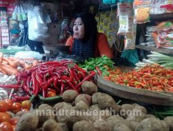 Awal Tahun 2023, Harga Cabai Rawit di Sampang Merangkak Naik