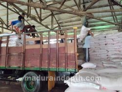 Tahun Ini Bangkalan Dapat Jatah 35 Ribu Ton Pupuk Bersubsidi Jenis NPK dan Urea