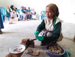 Panen Ribuan Ton Pertahun, Desa Ini Jadi Centra Penghasil Jambu Mente Terbaik di Bangkalan