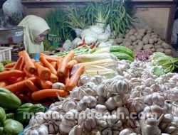 Harga Bawang Putih di Sampang Alami Kenaikan Jelang Bulan Suci Ramadhan