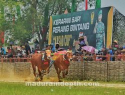 Lestarikan Budaya Madura, Kerapan Sapi KASAD Cup di Bangkalan Diikuti Peserta se Jawa Timur