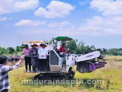 Petani di Bangkalan Keluhkan Sulitnya Pasokan Air saat Musim Tanam