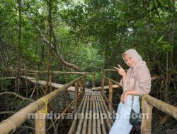Wisata Pesona Mangrove Martajasah, Cocok Buat Libur Lebaran di Bangkalan