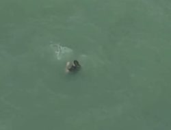 Viral Video Pria Asal Bangkalan Lompat dari Jembatan Suramadu