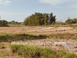 Sebanyak 61 Desa di Bangkalan Madura Alami Kekeringan