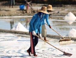 Faktor Cuaca, Target Produksi Garam di Bangkalan Stagnan