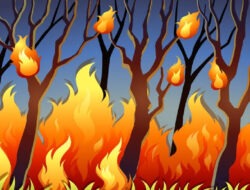 Jumlah Peristiwa Kebakaran di Bangkalan Meningkatkan