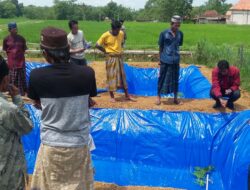 Tenaga Penyuluh Perikanan di Sampang Minim, Hanya Ada 15 Petugas untuk 186 Desa