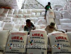 Antisipasi Kelangkaan Pupuk, Pemkab Bangkalan Terbitkan Perbup Nomor 21 Tahun 2023