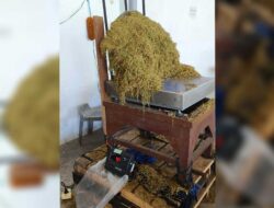 Merugikan Petani, Disperindag Tegur Pedagang Ambil Sampel Tembakau Lebih dari 1 Kilogram