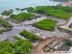 Warga Laporkan Eksploitasi Hutan Mangrove Pantai Tlanakan Pamekasan