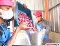 DKPP Sumenep Dorong Optimalisasi Pemasaran Produk Olahan Bawang Merah