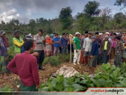 Pamit Menemui Seseorang, Warga Soddara Ditemukan Tak Bernyawa di Ladang Tembakau