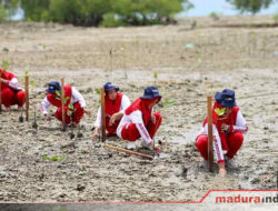 HCML Gelorakan Semangat Kepahlawanan dengan Menanam Mangrove