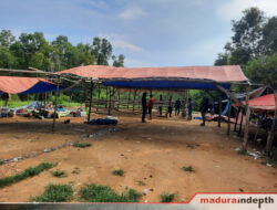 Tukang Sabung Ayam di Kedungdung Kabur Duluan Sebelum Polisi Datang