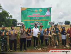 Bupati Sumenep Panen Raya Jagung Bersama Forkopimda