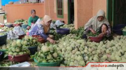 Buah srikaya sumenep