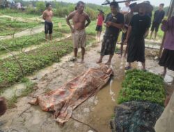 Petani di Torjun Tewas Tersambar Petir