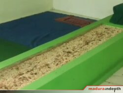 Makam Palsu Tiba-tiba Muncul di Area Pemakaman Bhuju’ Kramat Lanceng Sampang