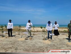 HCML Tanam Ribuan Cemara Udang di Gili Raja, Dorong Ekowisata dan Pelestarian Lingkungan