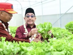 Wabup Sumenep: Kawasan Smart Farming Hortikultura Dorong Pertanian Modern dan Berdaya Saing