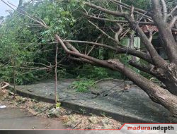 Angin Kencang Terjang Camplong, Puluhan Rumah dan Sekolah Rusak