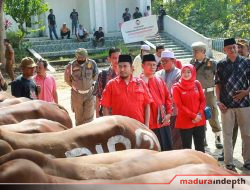 Wakili Said Abdullah Serahkan Sapi Kurban, Achmad Fauzi: Bentuk Kepedulian Nyata untuk Masyarakat