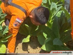 Sawah di Gunung Eleh Bergemuruh, BPBD dan DPRD Turun Tangan