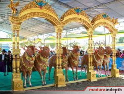 Festival Sapi Sonok Madura 2026 Sukses Digelar, Lestarikan Budaya Madura dan Gerakkan Ekonomi Lokal